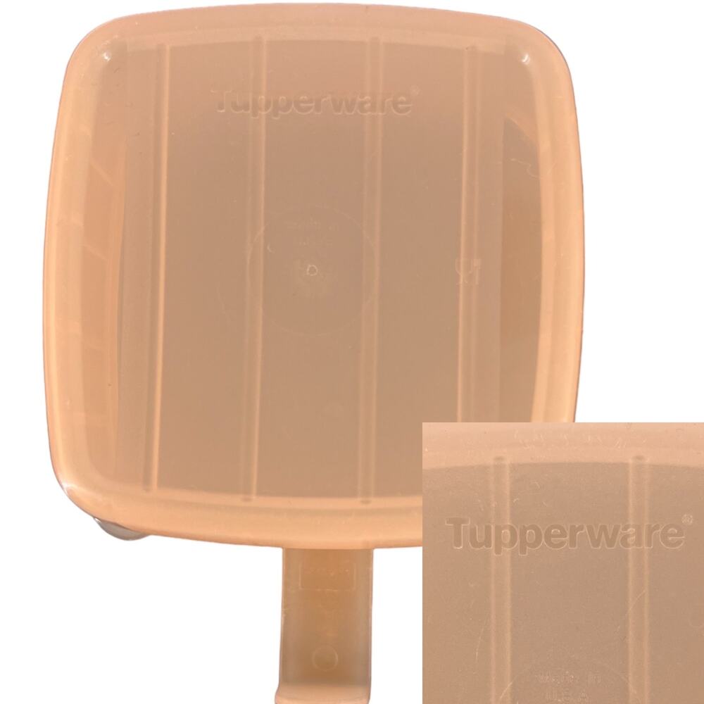 Tupperware BUNDLE Forget Me Not Hanging Cheese Onion Bagel Keeper Saver Orange - Picture 6 of 16